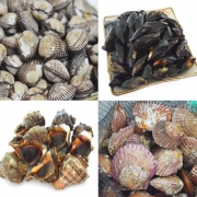 새꼬막1kg(대)+가리비1kg+홍합1kg+참소라1kg
