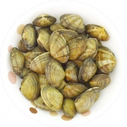 남해 왕바지락 1kg
