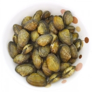 남해 바지락 1kg(일반)