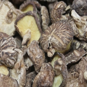 장흥 표고버섯 향신 500g(벌크)