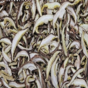 장흥 표고버섯 슬라이스200g(벌크)