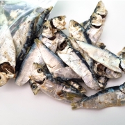 국내산 밴댕이 100g /디포리/멸치