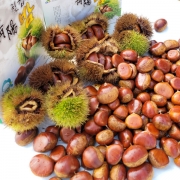 국내산 청양밤 2kg(중) 약140알
