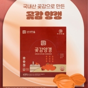 강원도 수제 곶감양갱 40g x 20개+쇼핑백