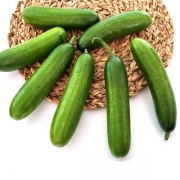 미니오이 500g/1kg/2kg
