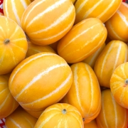 성주 참외 소과 (7-11과 내외) 2kg