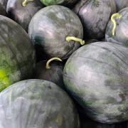 고당도 흑수박 3kg